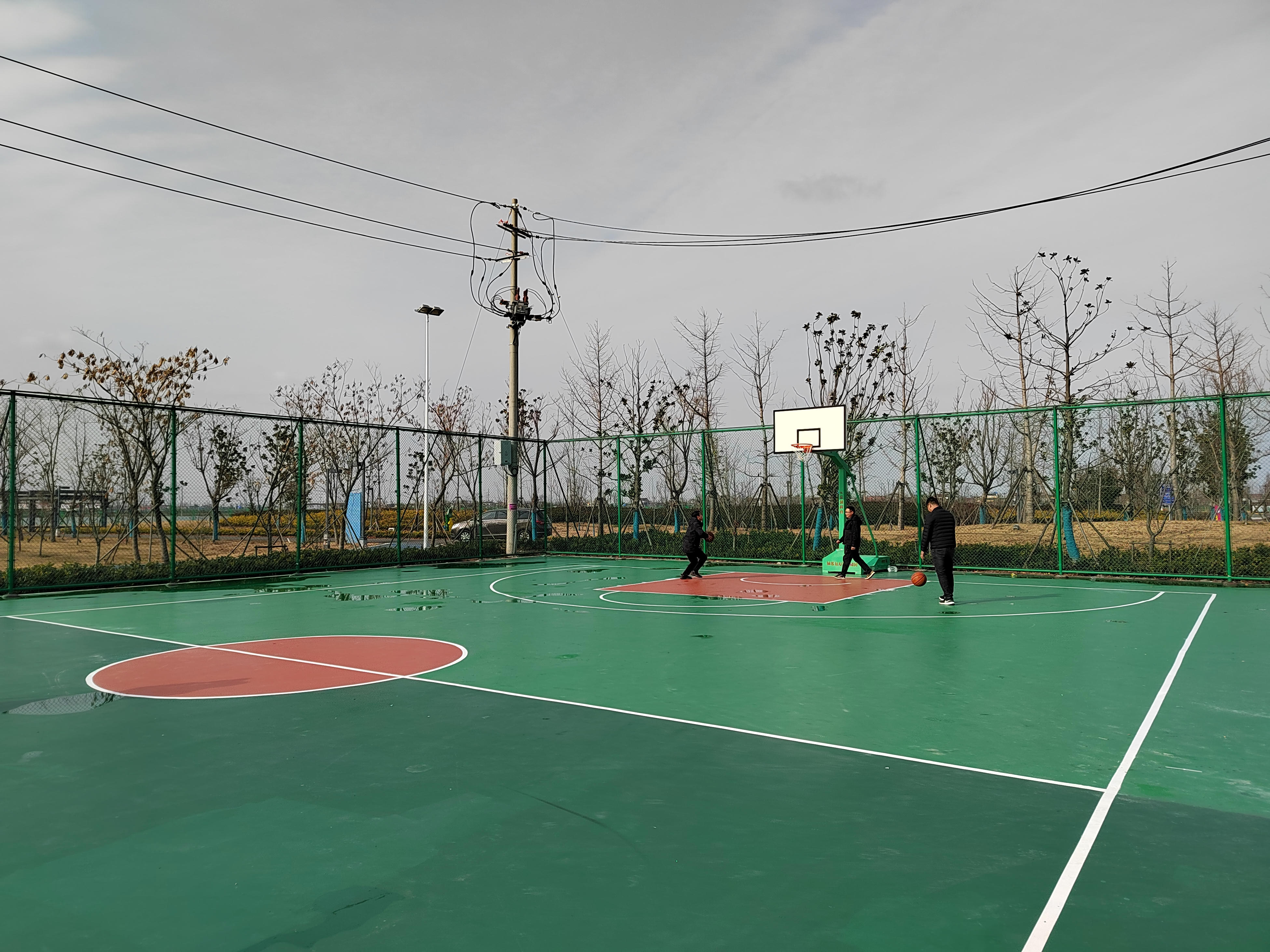 IMG_20211212_102303.jpg