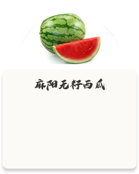 麻阳无籽西瓜